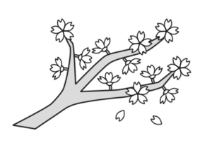 お花見　白黒フリー素材　モノクロ無料イラスト　桜の木　枝